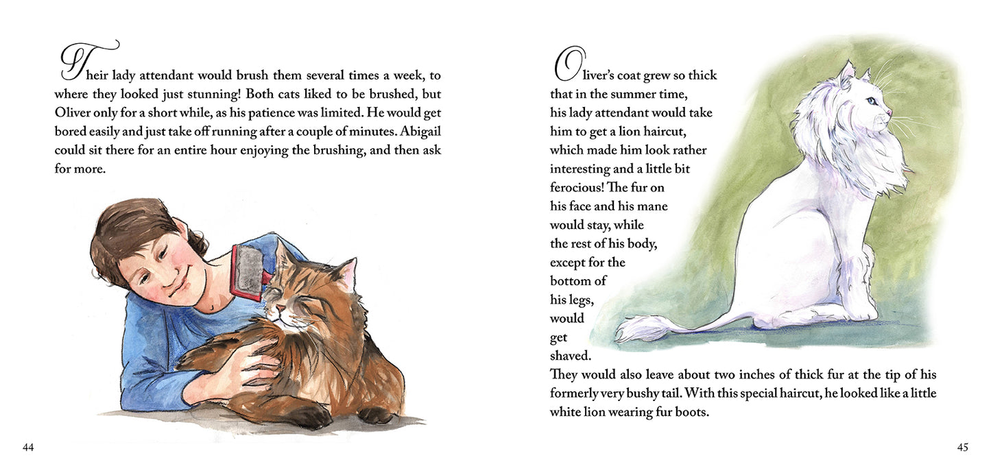 KING AVALANCHE THE GREAT & OTHER FANTASTIC CAT TALES