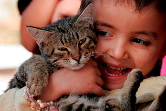 Where to Find the Best Books for Young Children?